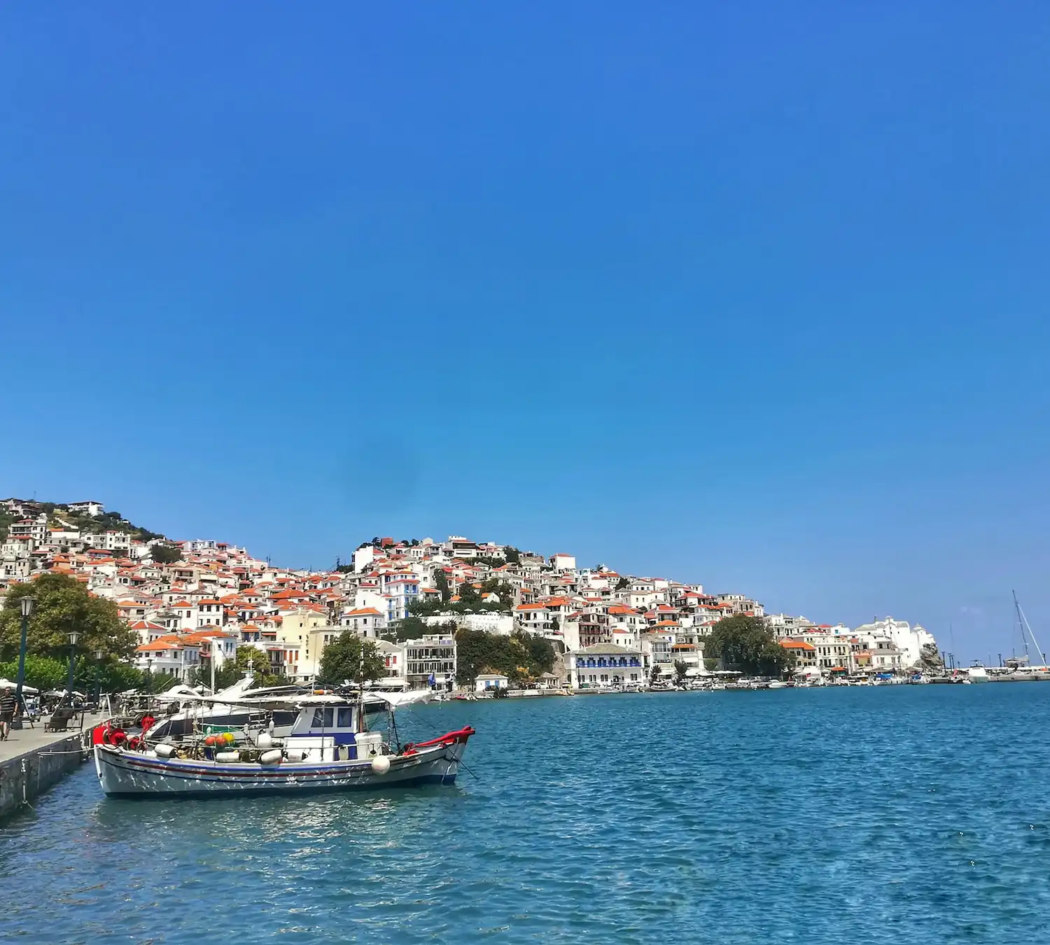 https://thessyacht.gr/wp-content/uploads/2023/11/skopelos-1.webp